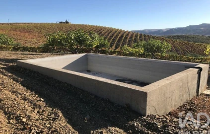 Terreno para Venda em Vila Flor e Nabo