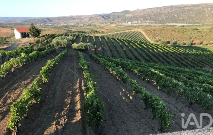 Terreno para Venda em Vila Flor e Nabo