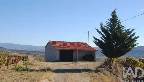Terreno para Venda em Vila Flor e Nabo