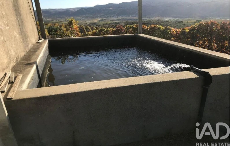 Terreno para Venda em Vila Flor e Nabo Foto 7