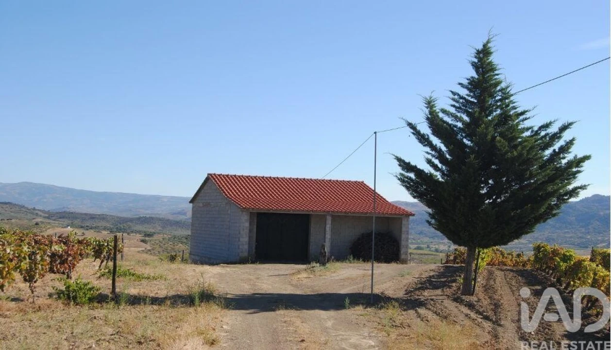 Terreno para Venda em Vila Flor e Nabo Foto 2
