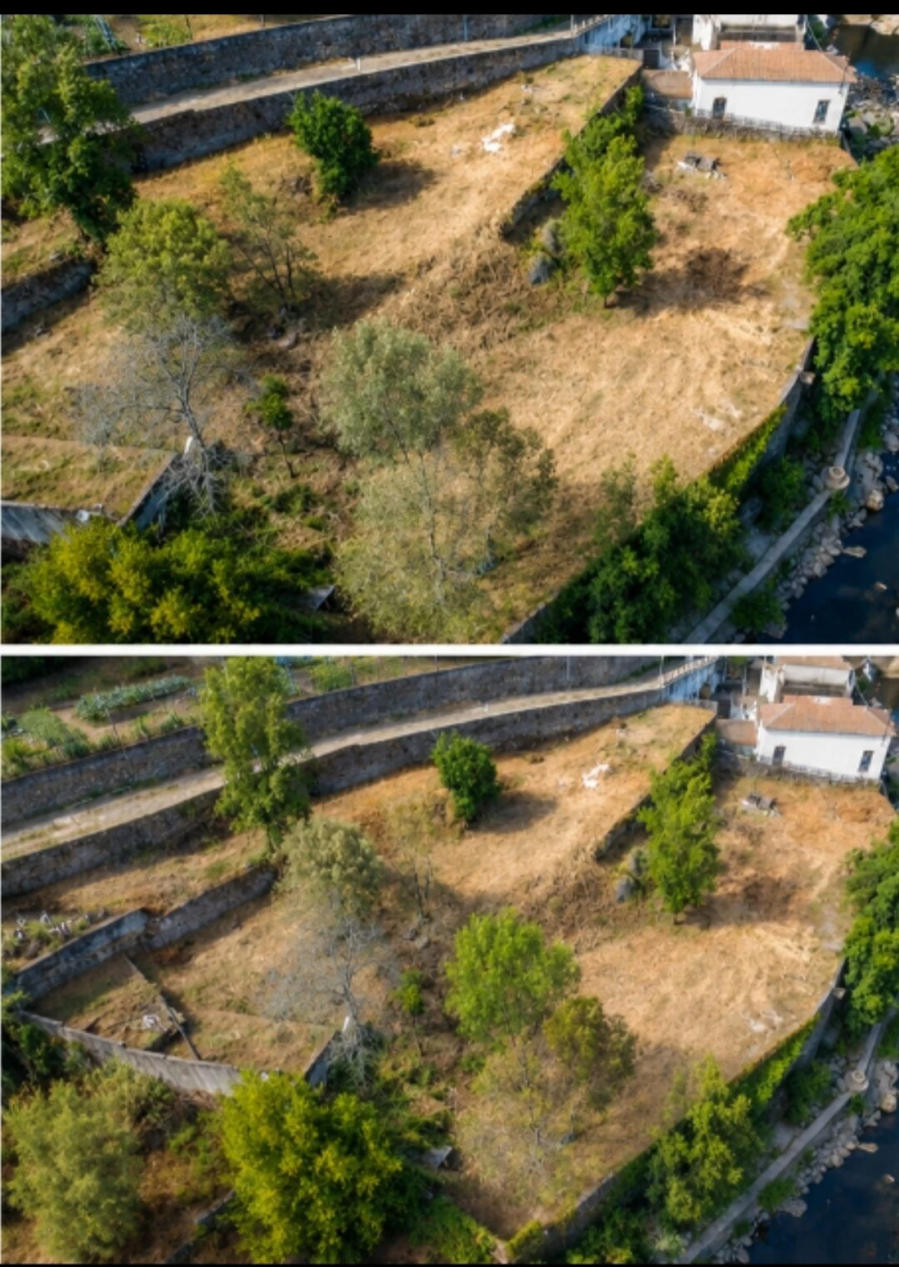 Terreno para Venda em Bairro Foto 2