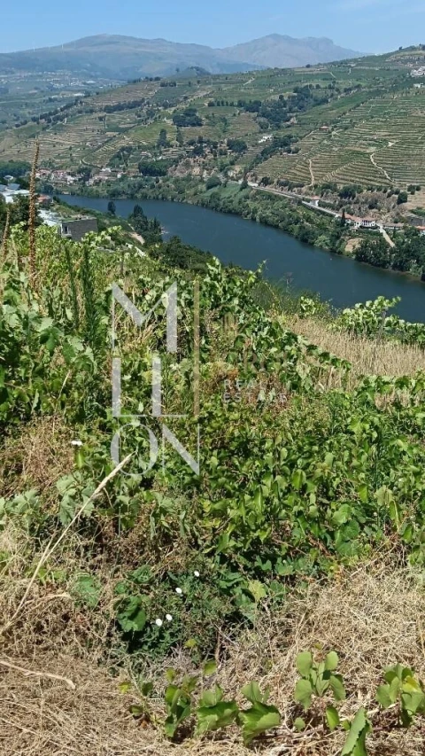 Terreno para Venda em Samodães