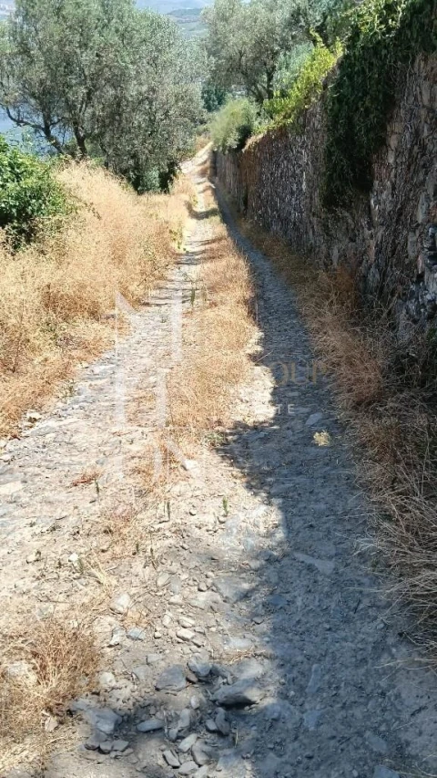 Terreno para Venda em Samodães
