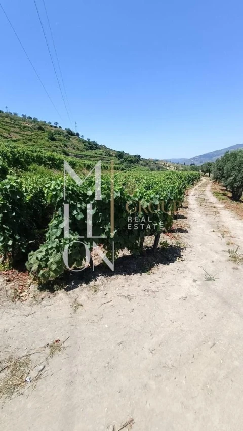 Terreno para Venda em Samodães