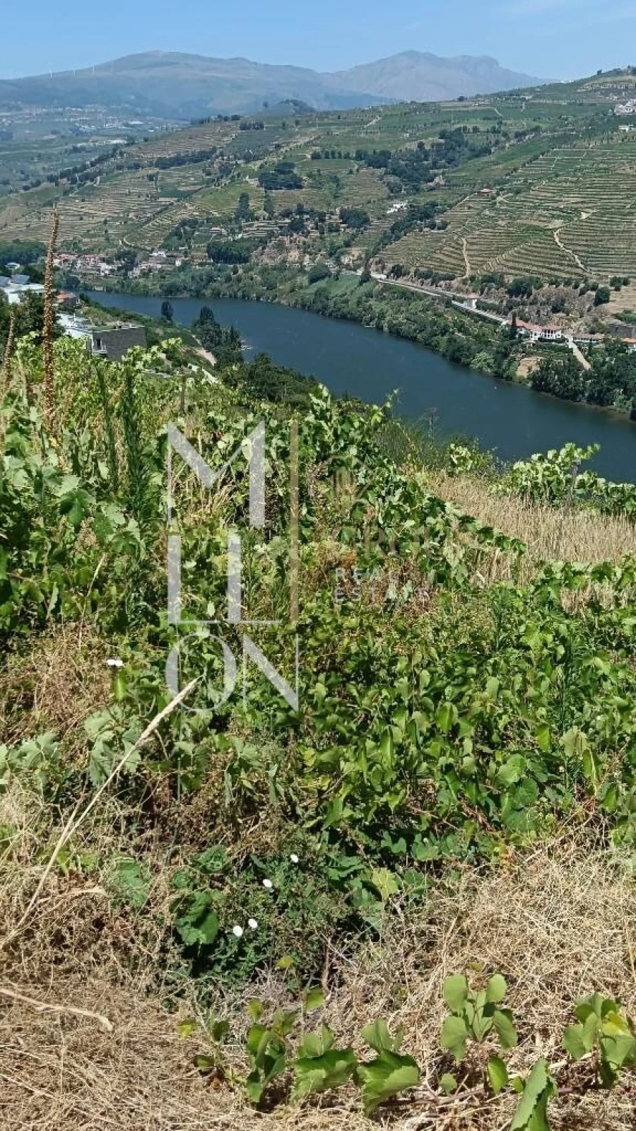 Terreno para Venda em Samodães Foto 6