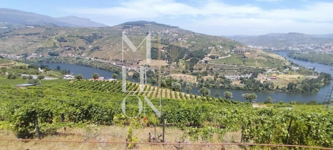 Terreno para Venda em Samodães Foto 2