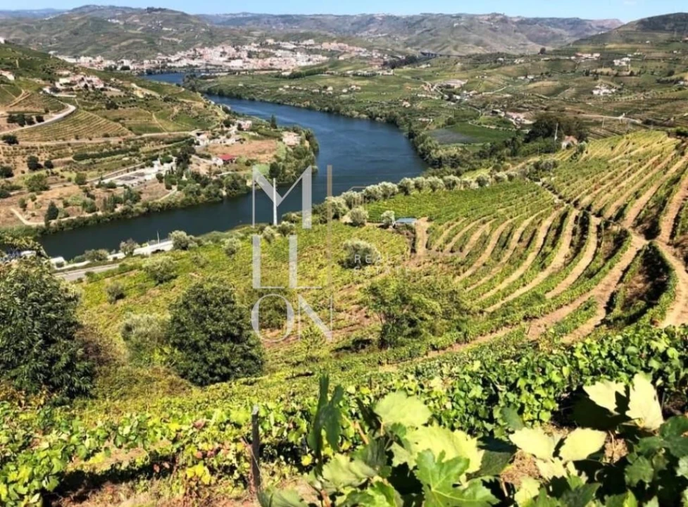 Terreno para Venda em Samodães Foto 12
