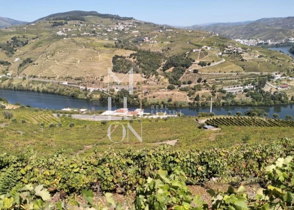 Terreno para Venda em Samodães Foto 1