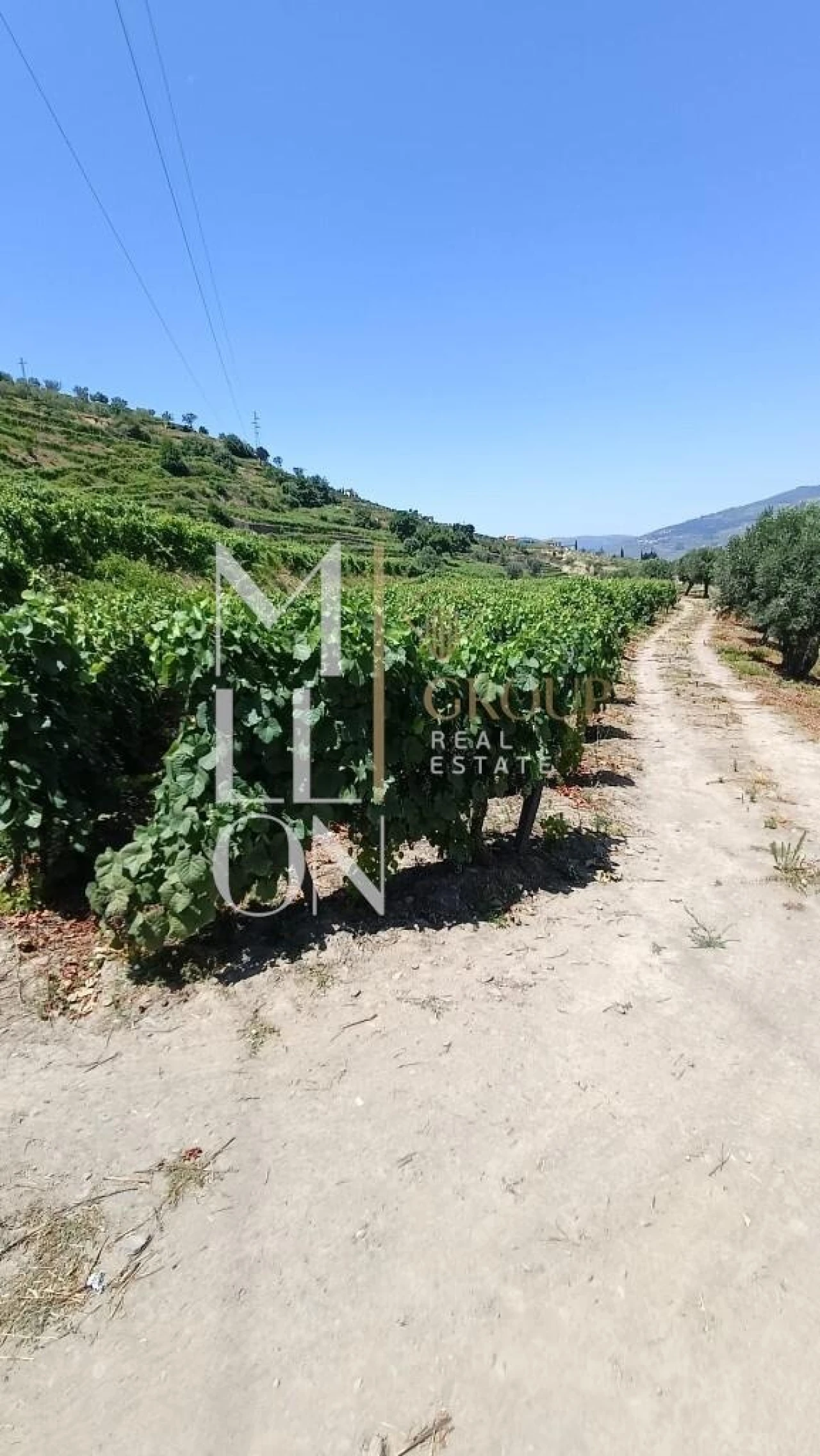 Terreno para Venda em Samodães Foto 10