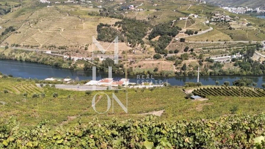Terreno para Venda em Samodães