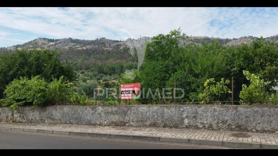 Quinta para Venda em São João Baptista