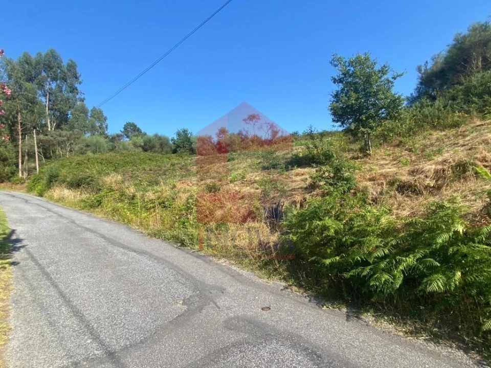 Terreno para Venda em Valbom (São Pedro), Passô e Valbom (São Martinho) Foto 14