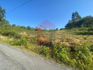 Terreno para Venda em Valbom (São Pedro), Passô e Valbom (São Martinho)