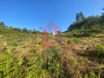 Terreno para Venda em Valbom (São Pedro), Passô e Valbom (São Martinho)