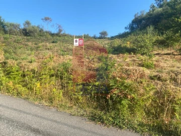 Terreno para Venda em Valbom (São Pedro), Passô e Valbom (São Martinho)