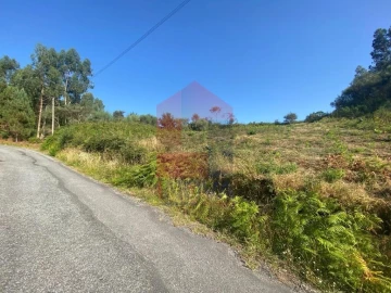 Terreno para Venda em Valbom (São Pedro), Passô e Valbom (São Martinho)