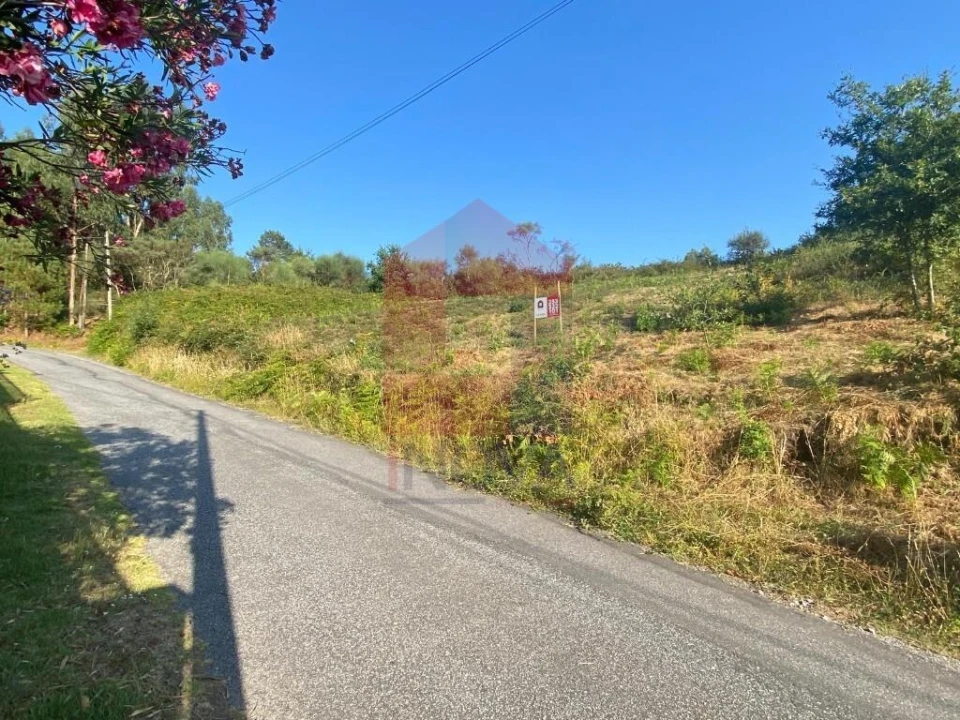 Terreno para Venda em Valbom (São Pedro), Passô e Valbom (São Martinho) Foto 11