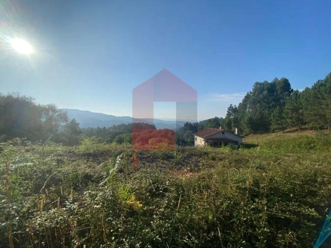 Terreno para Venda em Valbom (São Pedro), Passô e Valbom (São Martinho) Foto 4
