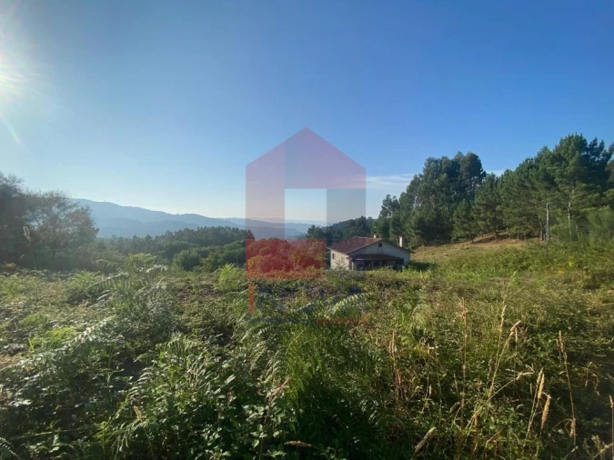Terreno para Venda em Valbom (São Pedro), Passô e Valbom (São Martinho) Foto 5