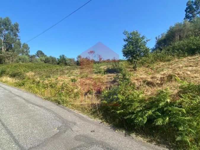 Terreno para Venda em Valbom (São Pedro), Passô e Valbom (São Martinho) Foto 13