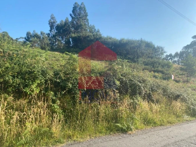 Terreno para Venda em Valbom (São Pedro), Passô e Valbom (São Martinho) Foto 6