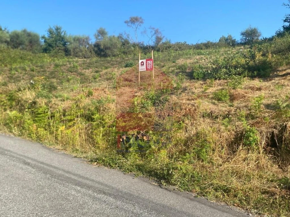 Terreno para Venda em Valbom (São Pedro), Passô e Valbom (São Martinho) Foto 1