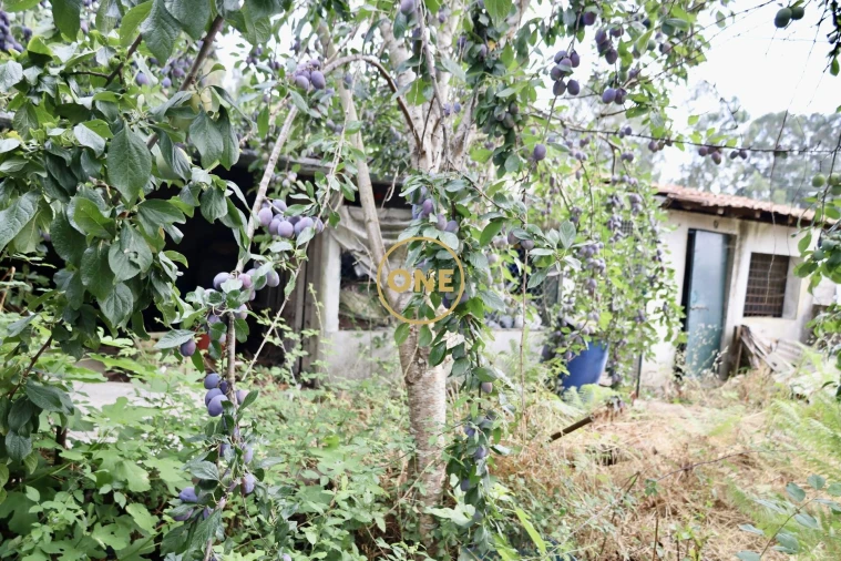Moradia T2 para Venda em Vila das Aves Foto 2