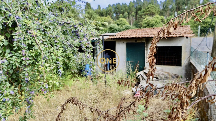 Moradia T2 para Venda em Santo Tirso, Couto (Santa Cristina e São Miguel) e Burgães
