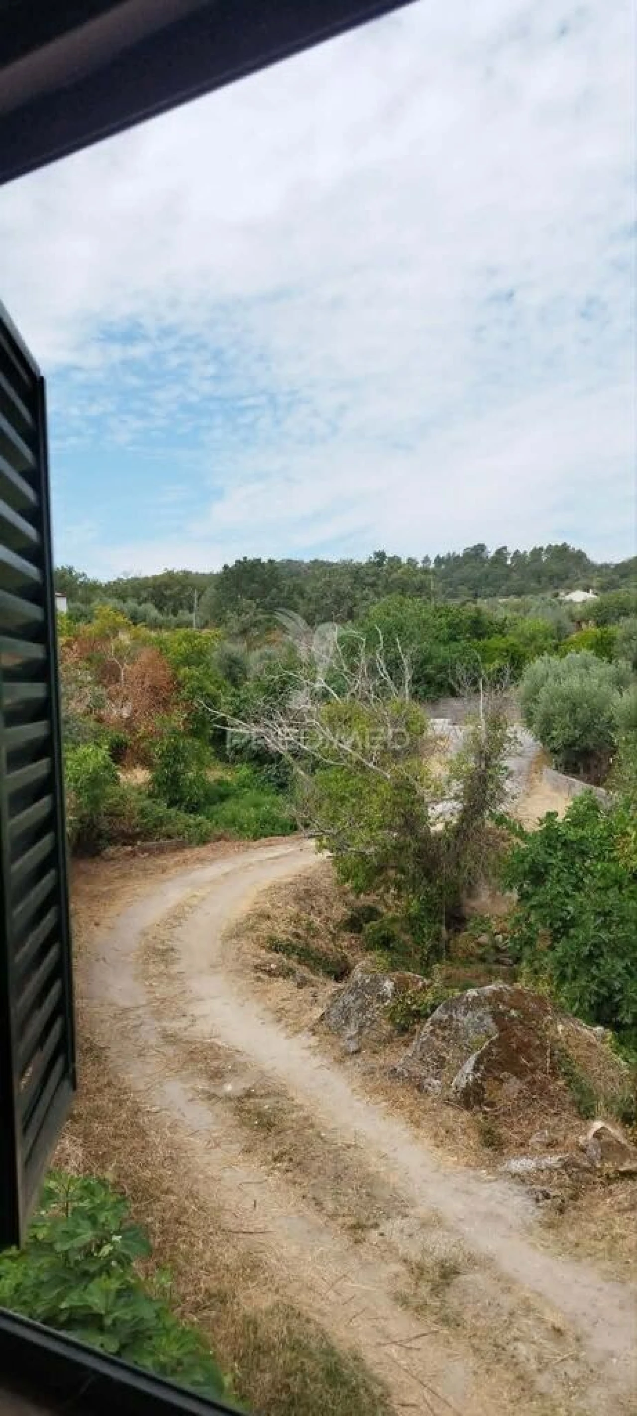 Quinta T3 para Venda em Santa Maria da Devesa Foto 5