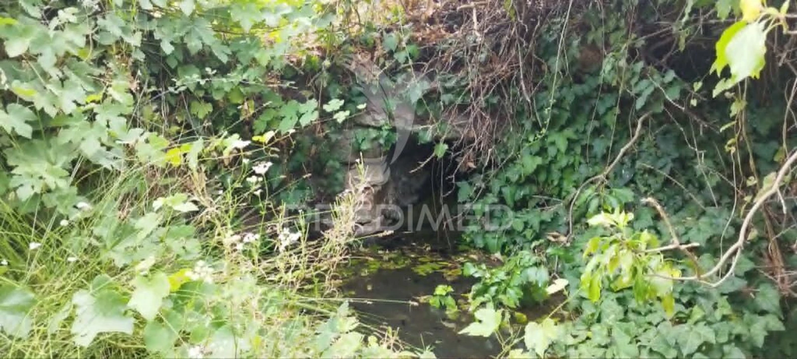 Quinta T3 para Venda em Santa Maria da Devesa Foto 6