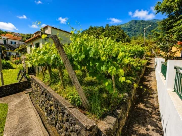 Moradia T2 para Venda em São Vicente