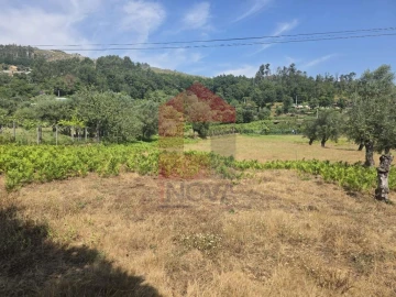 Terreno para Venda em Anais