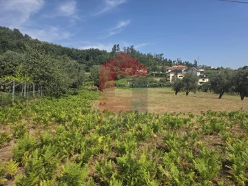 Terreno para Venda em Anais