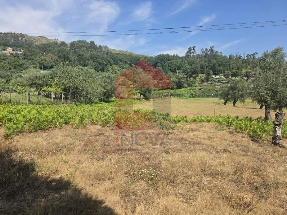 Terreno para Venda em Anais Foto 2