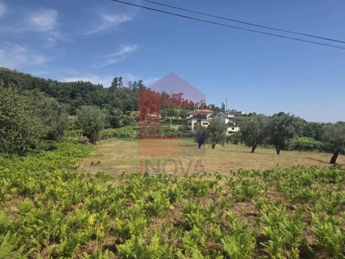 Terreno para Venda em Anais Foto 4