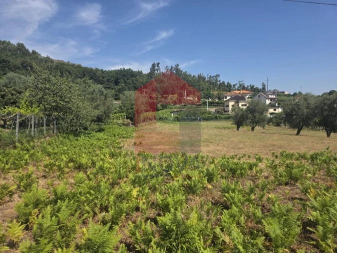 Terreno para Venda em Anais Foto 5