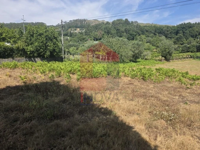 Terreno para Venda em Anais Foto 3