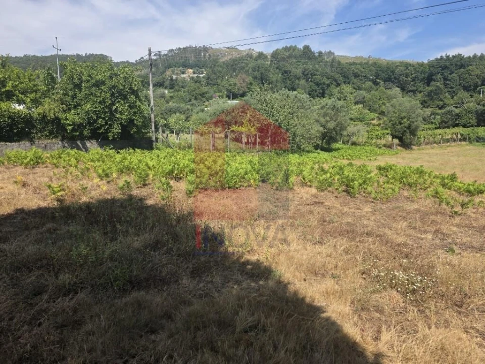 Terreno para Venda em Anais Foto 3