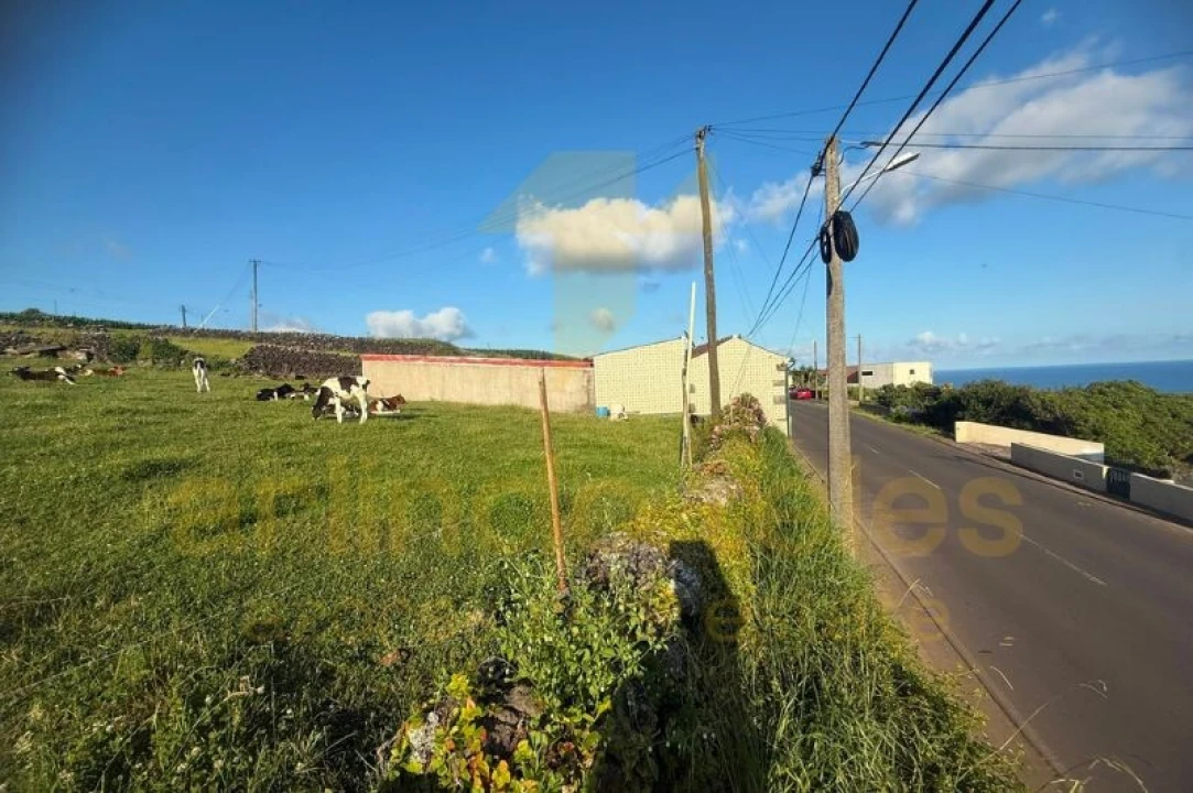 Terreno para Venda em Porto Judeu Foto 10