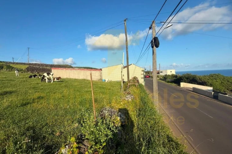 Terreno para Venda em Porto Judeu Foto 16