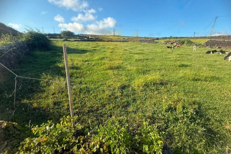 Terreno para Venda em Porto Judeu Foto 14