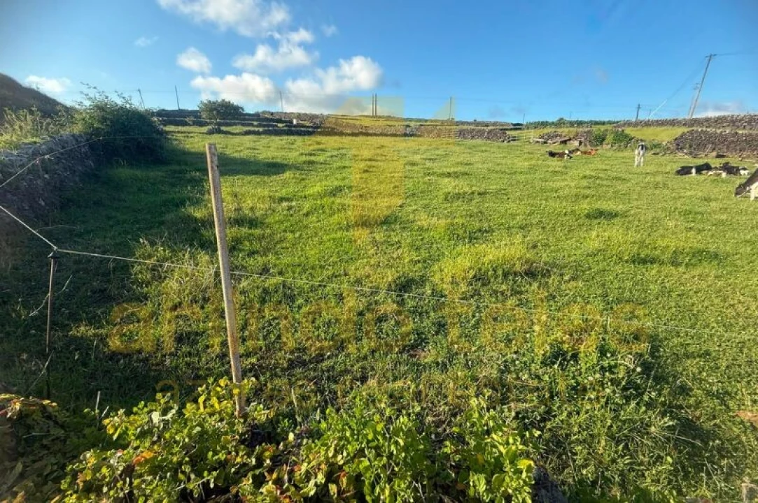 Terreno para Venda em Porto Judeu Foto 5