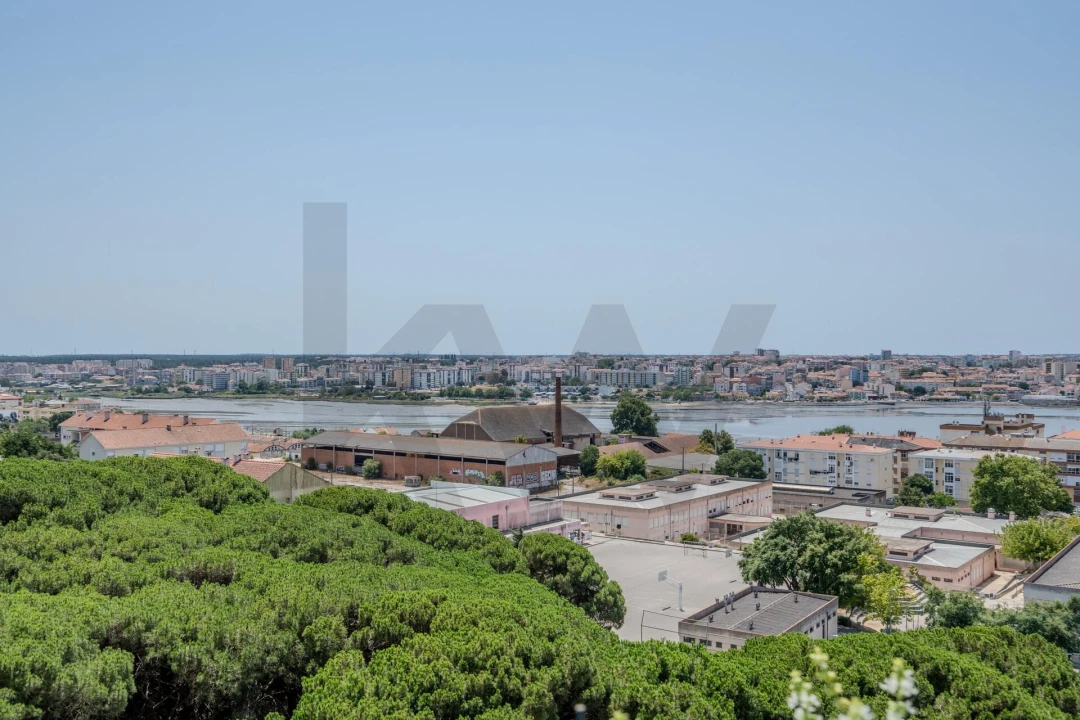 Apartamento T2 para Venda em Seixal, Arrentela e Aldeia de Paio Pires Foto 4