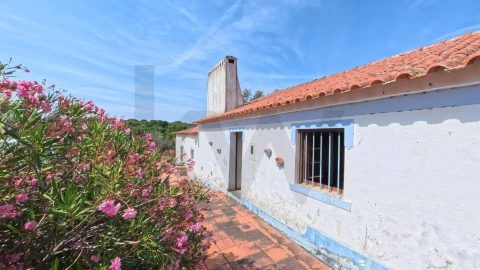 Quinta T3 para Venda em Pavia