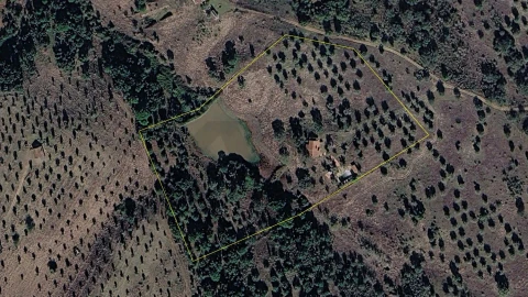 Quinta T3 para Venda em Pavia