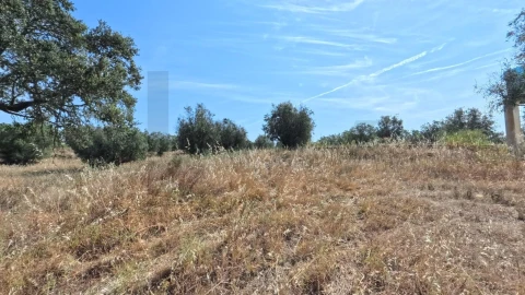 Quinta T3 para Venda em Pavia