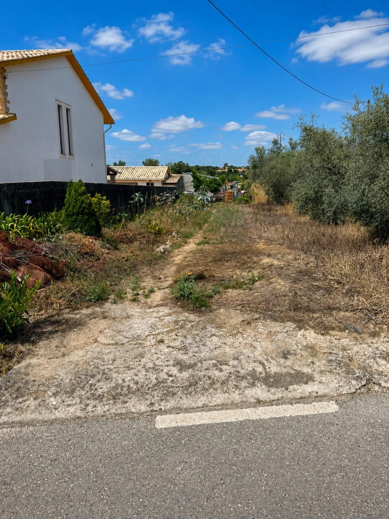 Terreno para Venda em Santa Clara e Castelo Viegas Foto 1