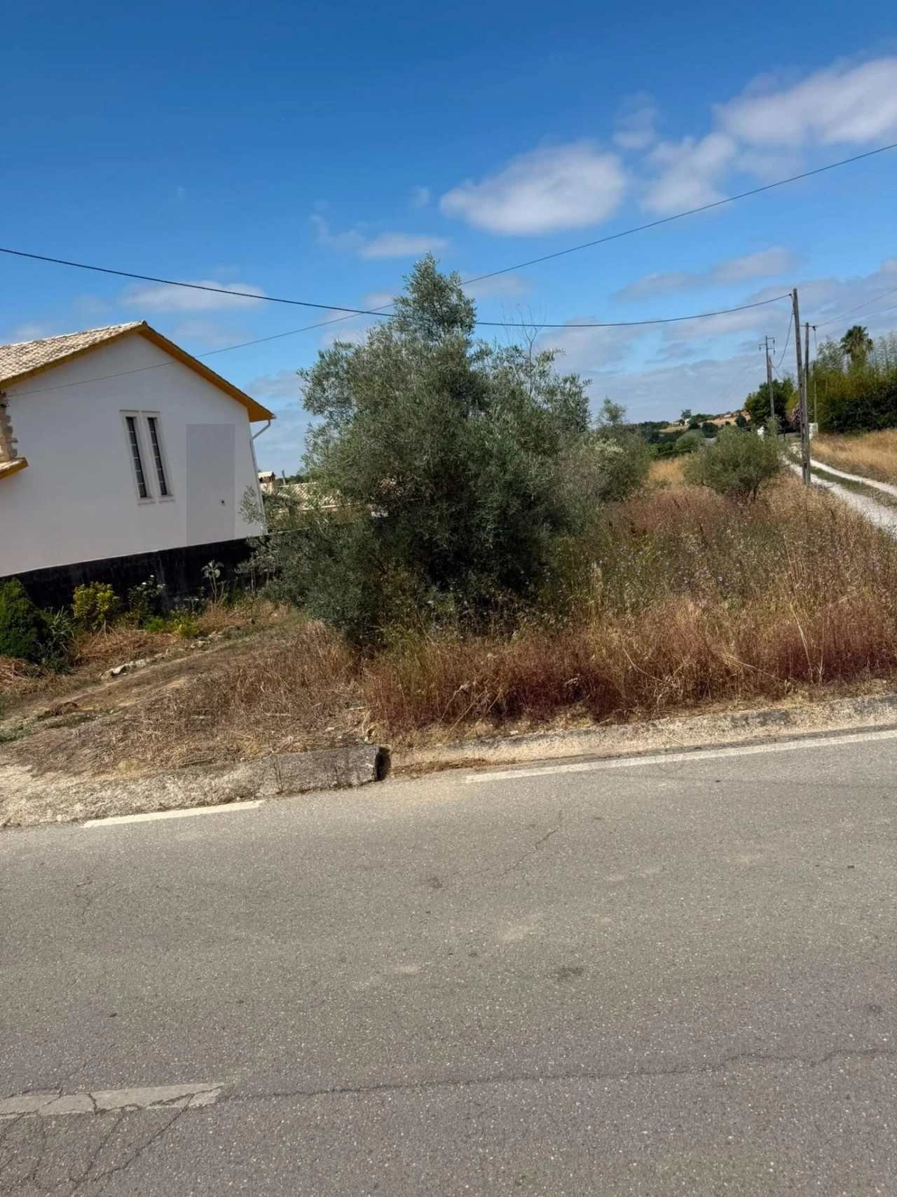 Terreno para Venda em Santa Clara e Castelo Viegas Foto 2