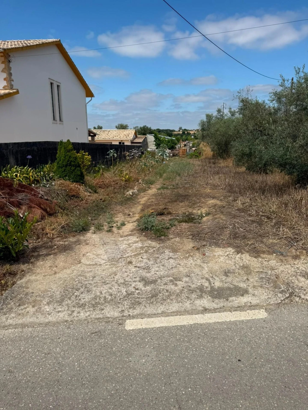 Terreno para Venda em Santa Clara e Castelo Viegas Foto 1